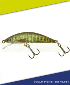 Leurre Jackall Illex tricoroll 55 S