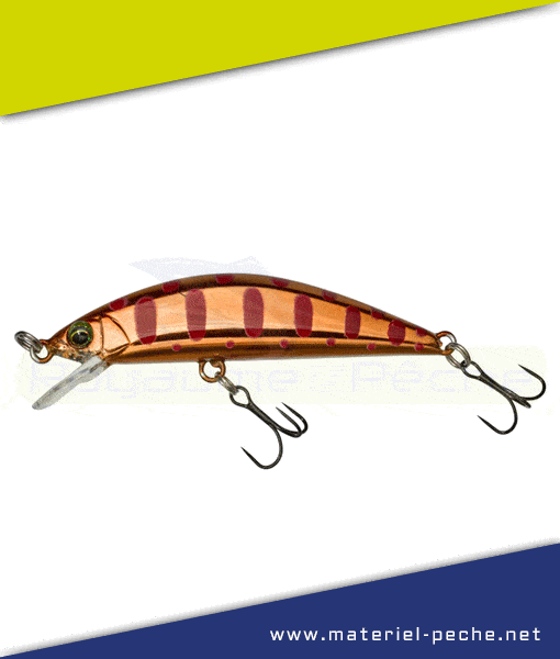 Leurre Jackall Illex tricoroll 55 S