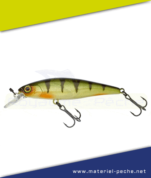Leurre Jackall Illex Squad Minnow