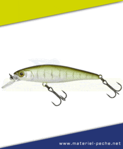 Leurre Jackall Illex Squad Minnow