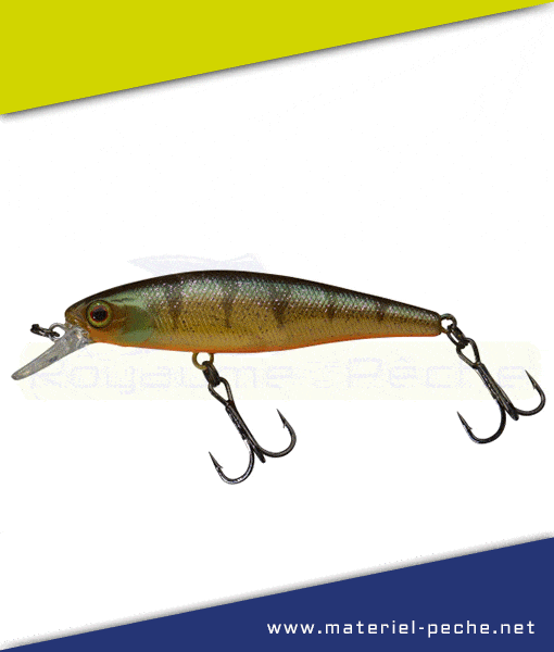 Leurre Jackall Illex Squad Minnow