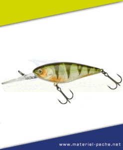 Leurre Jackall Illex Flat DD Squirrel 79 SP,