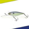 Leurre Jackall Illex Flat DD Squirrel 79 SP