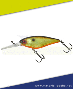 Leurre Jackall Illex Flat DD Squirrel 79 SP