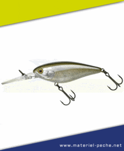 Leurre Jackall Illex Flat DD Squirrel 79 SP