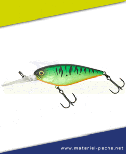 Leurre Jackall Illex Flat DD Squirrel 79 SP