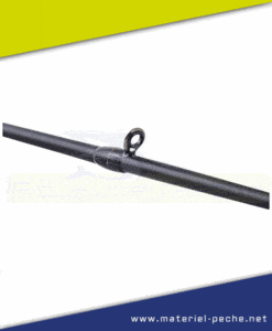 Canne the artist X5 B 210 M Sorceress