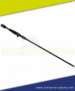 Canne the artist X5 B 210 M Sorceress