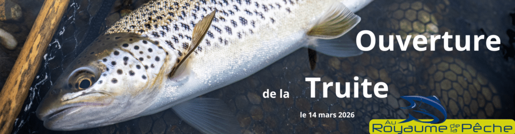 ouverture truite