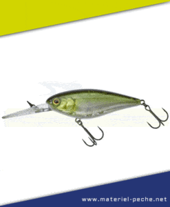 Leurre Jackall Illex Flat DD Squirrel 79 SP