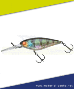 Leurre Jackall Illex Flat DD Squirrel 79 SP