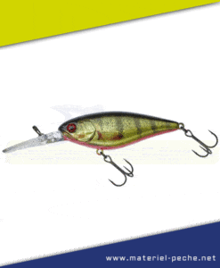 Leurre Jackall Illex Flat DD Squirrel 79 SP