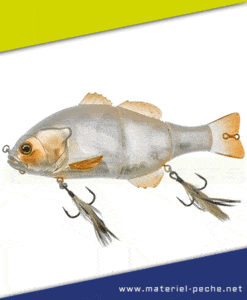 Leurre Gigantarel Jackall Illex