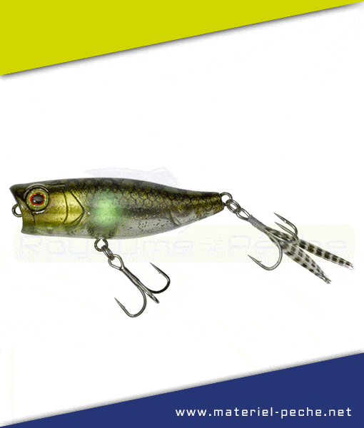Leurre Jackall Illex Chubby Popper 42