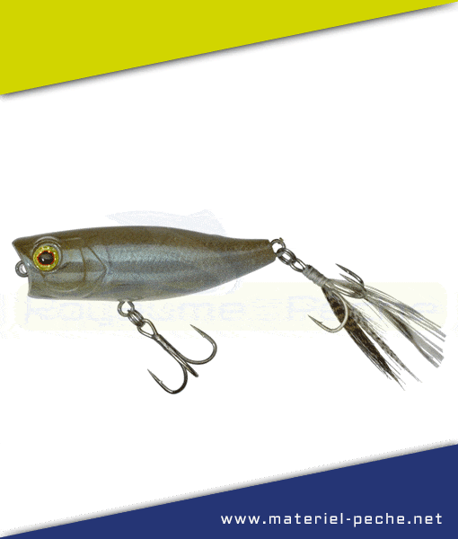 Leurre Jackall Illex Chubby Popper 42