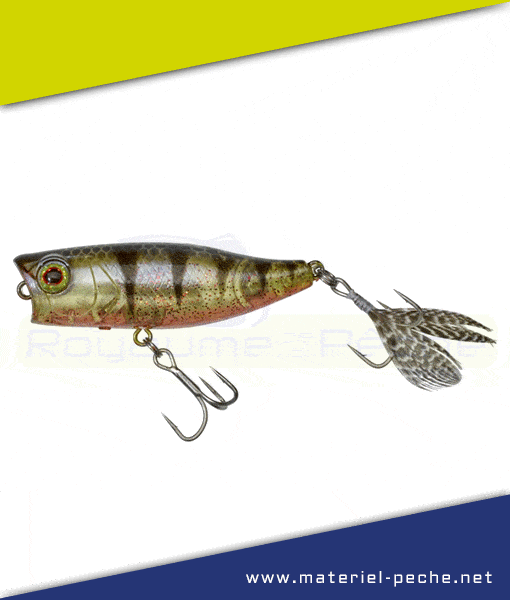 Leurre Jackall Illex Chubby Popper 42