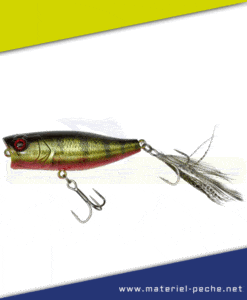 Leurre Jackall Illex Chubby Popper 42