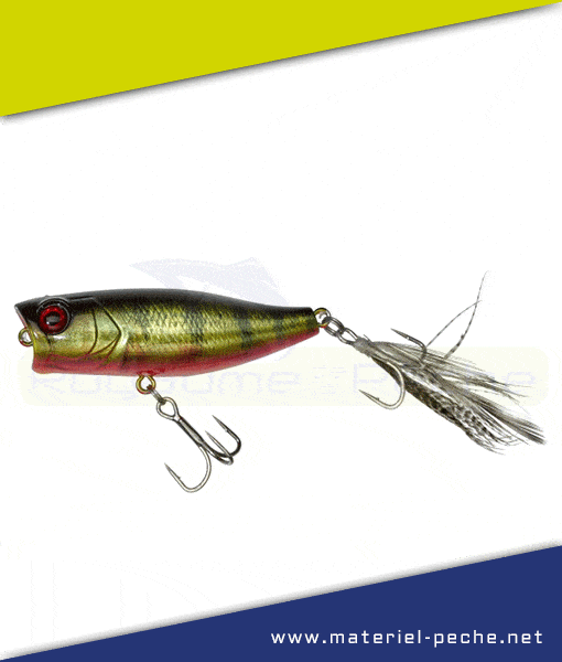 Leurre Jackall Illex Chubby Popper 42