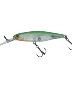 Leurre Jackall Illex DD Squirrel 67 SP