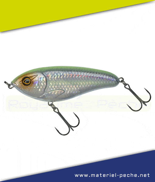 Leurre Illex Dexter Jerk 100 S