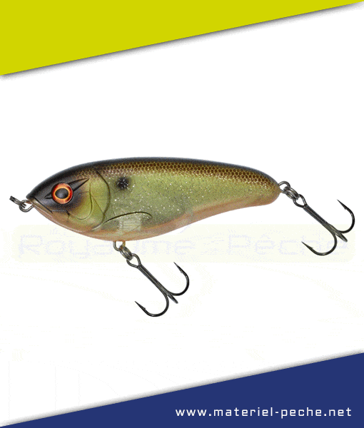 Leurre Illex Dexter Jerk 100 S