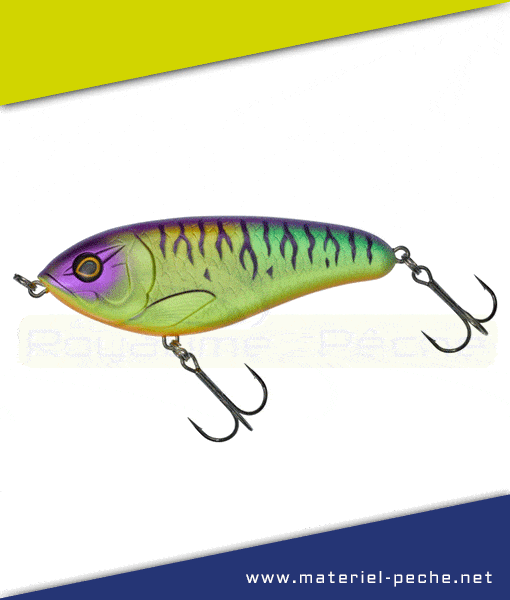 Leurre Illex Dexter Jerk 100 S
