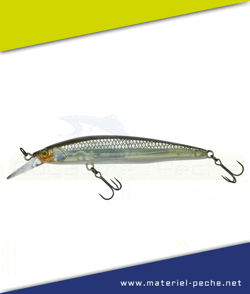 Leurre Rerange 95 MR SP Jackall Illex