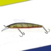 Leurre Rerange 95 MR SP Jackall Illex