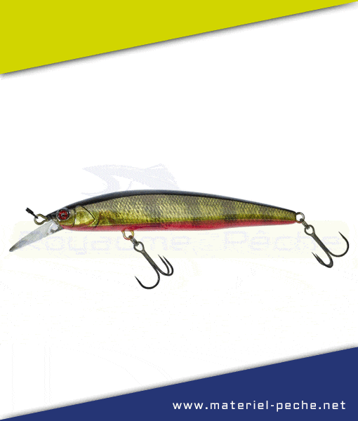 Leurre Rerange 95 MR SP Jackall Illex