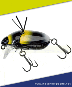 Leurre Jackall Illex Chubby Bug 35