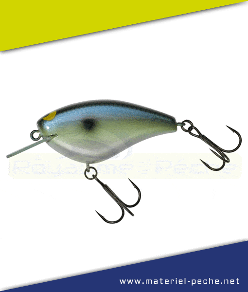 Leurre Jackall Illex Bling 55